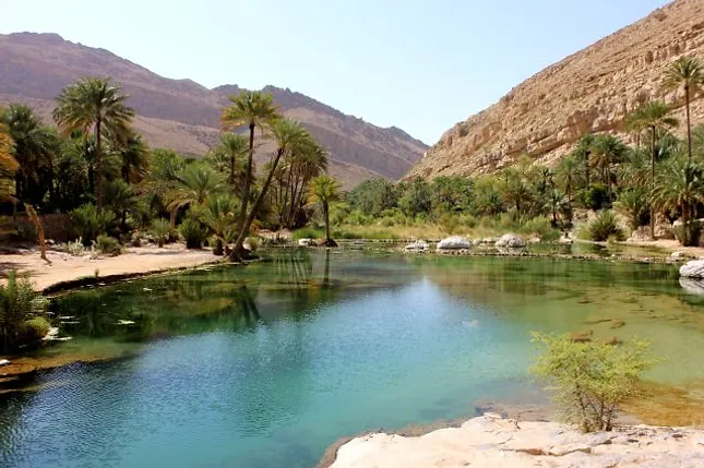 Dubai Tours & Travel